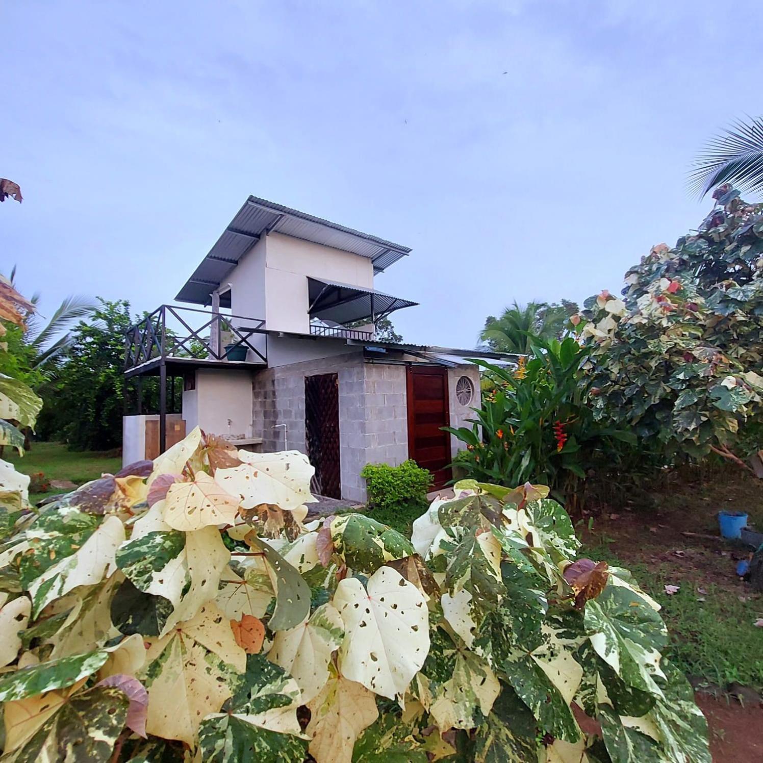 Bewak Cr Hotel ตอร์ตูเกโร ภายนอก รูปภาพ