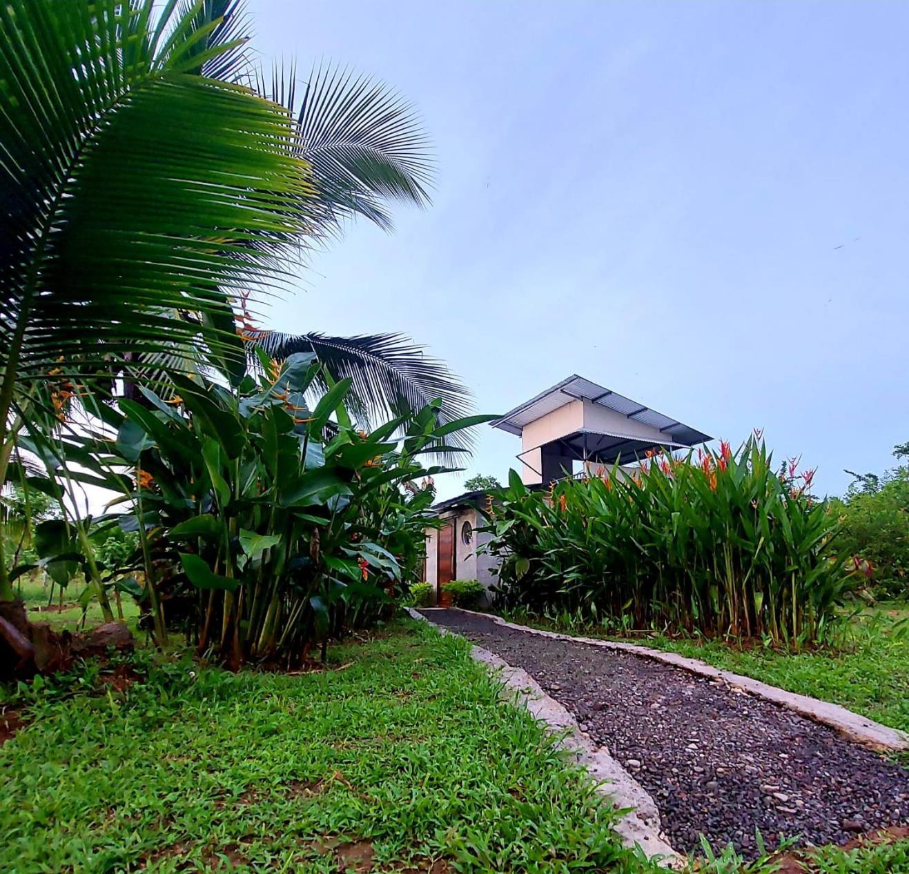 Bewak Cr Hotel ตอร์ตูเกโร ภายนอก รูปภาพ