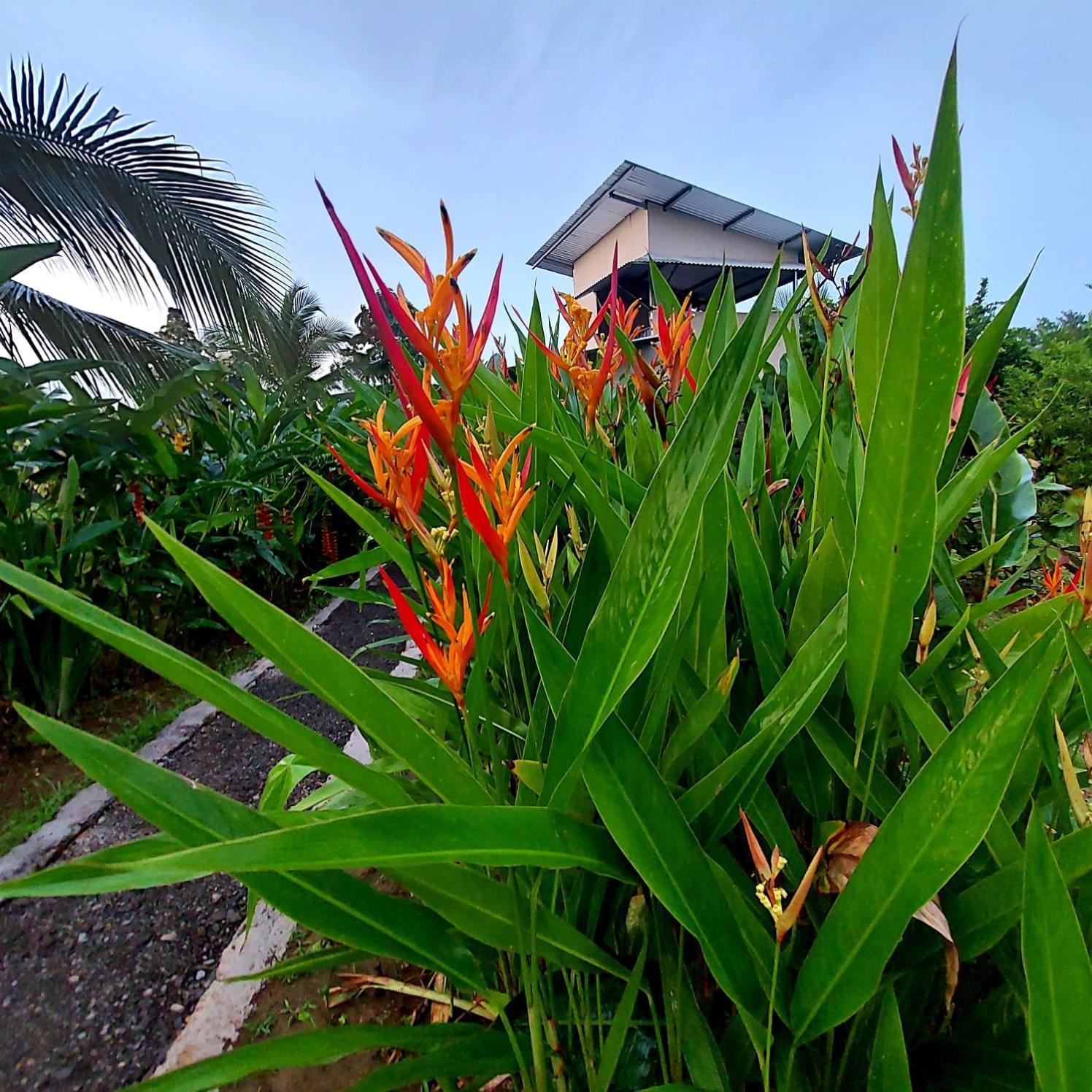 Bewak Cr Hotel ตอร์ตูเกโร ภายนอก รูปภาพ